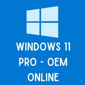 Windows 11 Pro - OEM - Digital License Key (Online Activation)